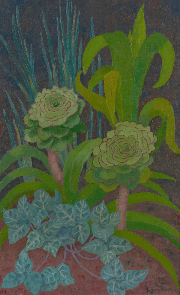 Cedric Morris oil painting of Aeoniums, (Experiment in Green) in 1971 currently for sale at Philip mould & company