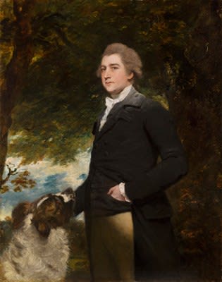 Sir Joshua Reynolds P.R.A., Portrait of Sir John Honywood (b. c. 1757-1806), 4th Bt., 1784