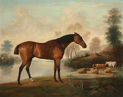 George Stubbs RA, the background attributed to George Barret, ‘Mr Ogilvie’s Bay Racehorse on a Riverbank, with a Group of Cows in the Middle Distance’, c. 1770