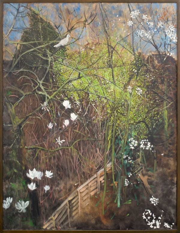 Jean Cooke, The Wild Plum Tree, 1995