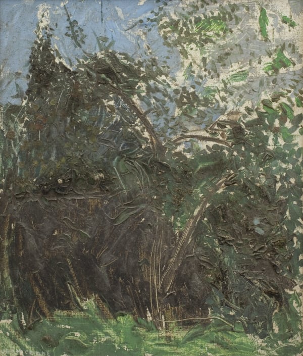 Jean Cooke, Apple Tree (18), 1975-85, c.