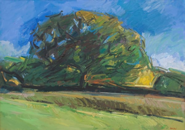 Peter Coker, Forêt de Landévennec, 1986 c.