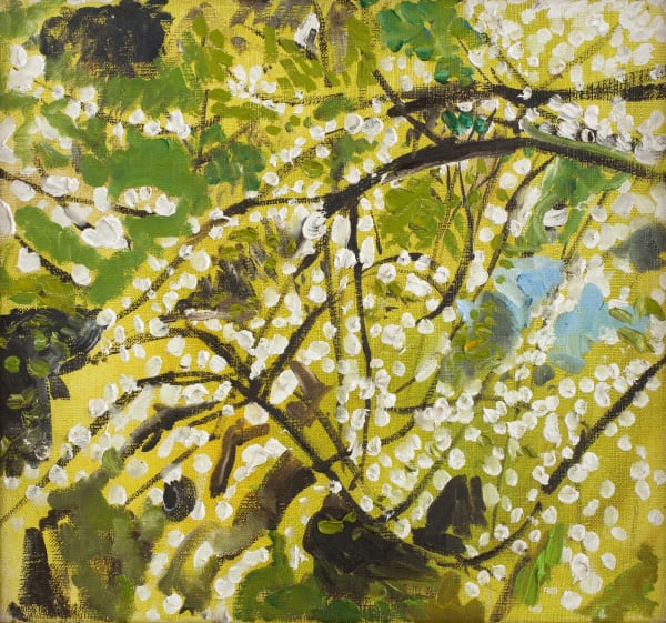 Jean Cooke, Green Tree (3)