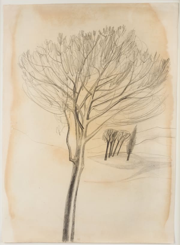 Ben Nicholson, 1955 (trees, Tuscany), 1955