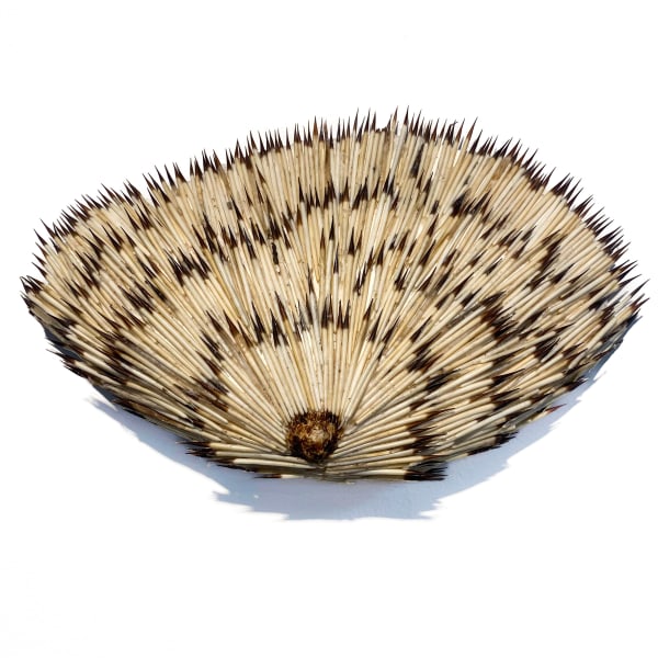 Breast of Porcupine Quills, Goddesses Series