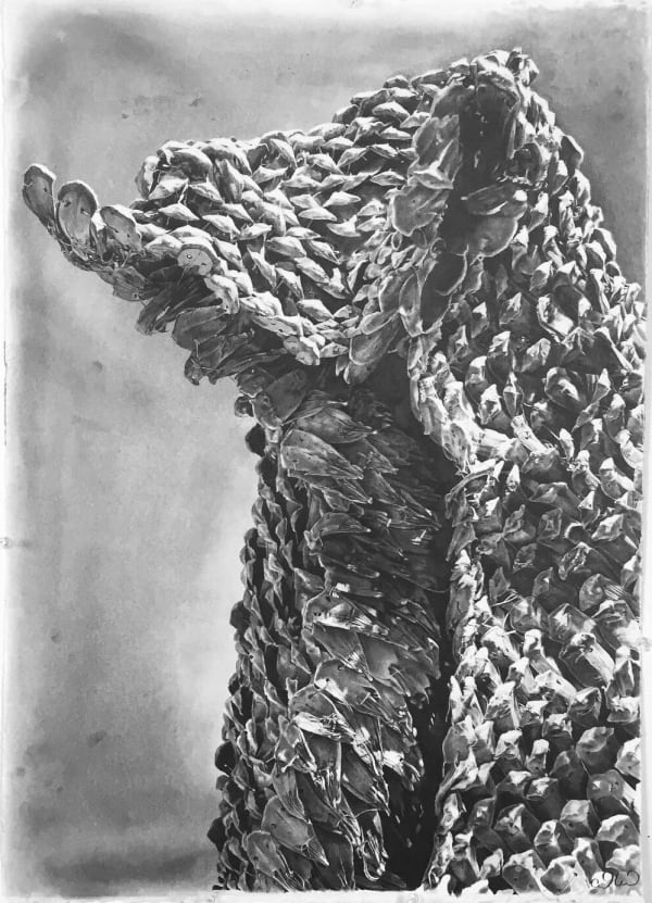 Pine Cone Cloak Portrait