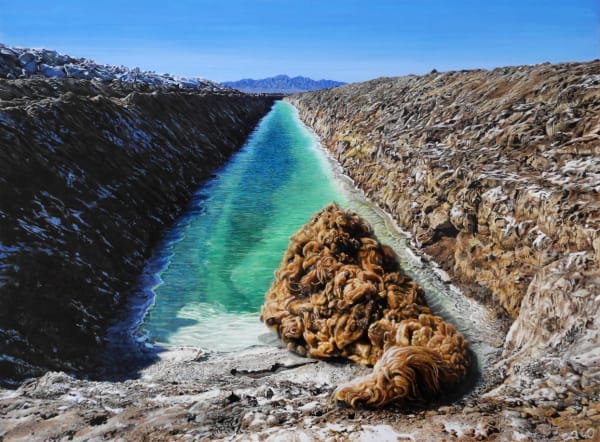 Salt Harvesting