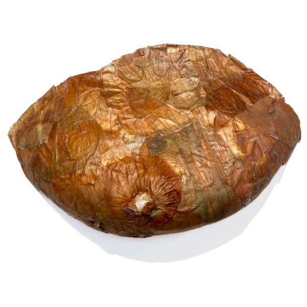 Breast of Onion Skin, Goddesses Series
