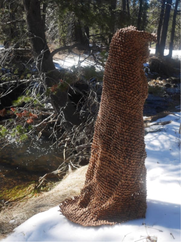 Cedra Wood, Pine Cone Cloak