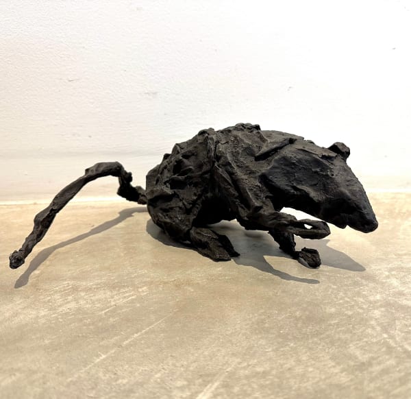 Rat
