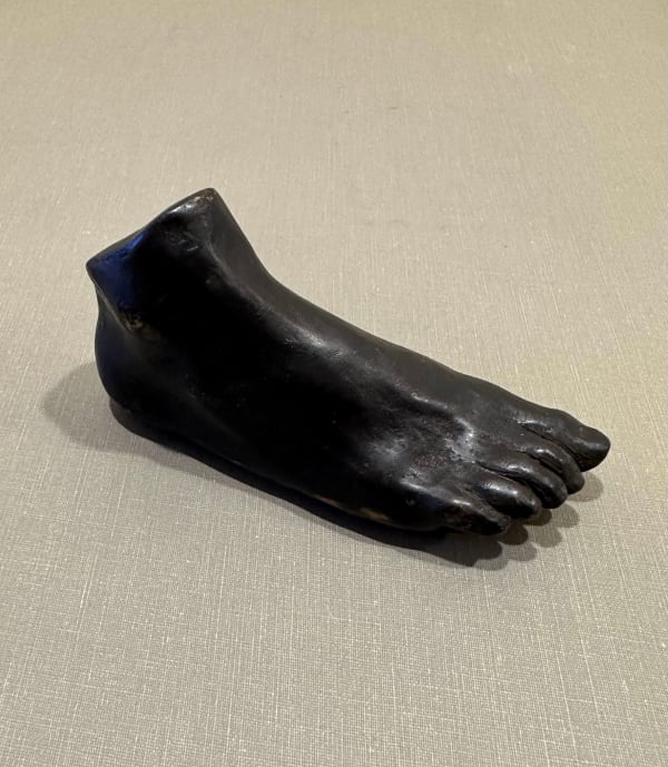 Foot