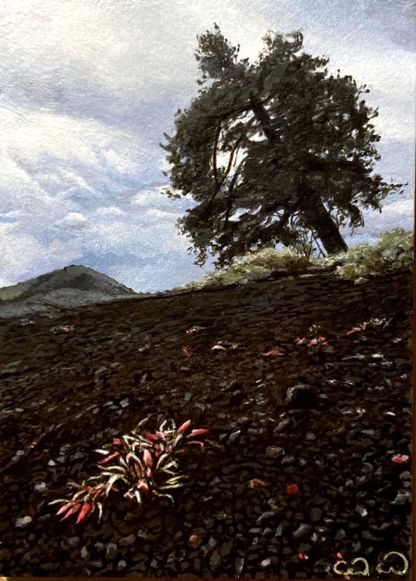 Bitterroot and Friend Conferring Across Lava Field