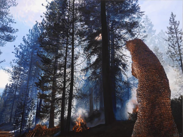 Pine Cone Shroud I (Sagehen Creek Experimental Forest Sierra Nevada)