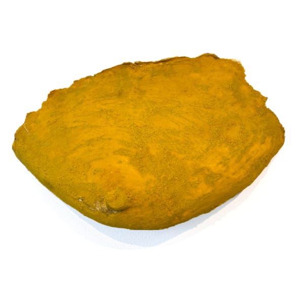 Nine Goddesses (Breast of Turmeric)