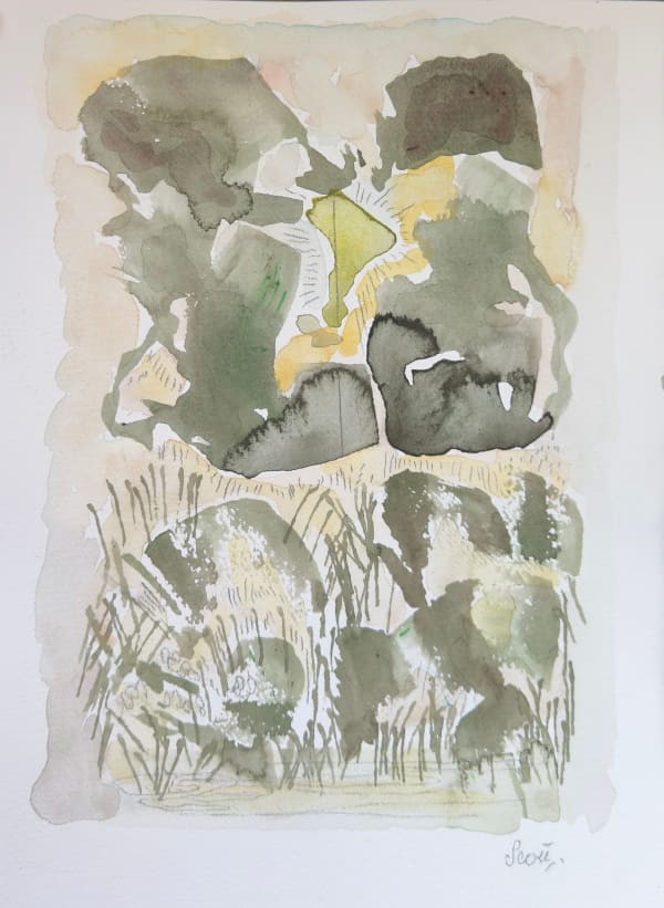 The Spring