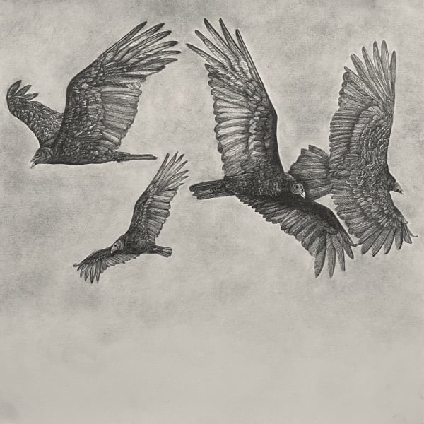 Vultures