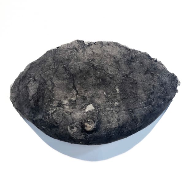 Breast of Charcoal, Goddesses Series