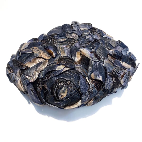 Breast of Mussels, Goddesses Series