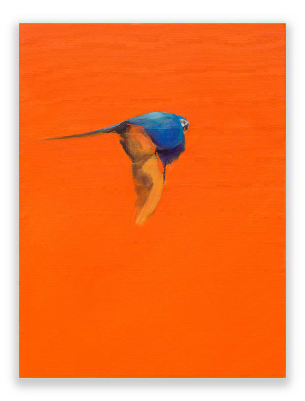 KENTMANN, MATTHEW, Blue & Gold 8, 2019