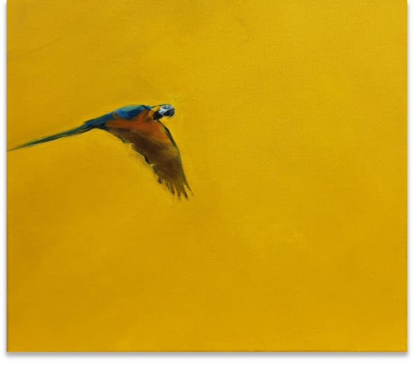 KENTMANN, MATTHEW, Blue & Gold 10, 2019