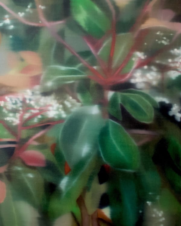 Johanna Bath, Red Robin II, 2025