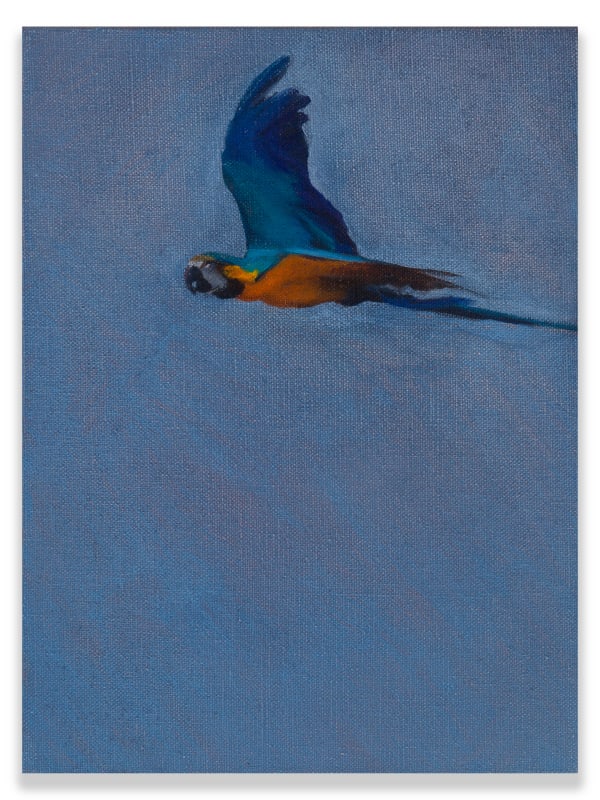 KENTMANN, MATTHEW, Blue & Gold 4, 2019