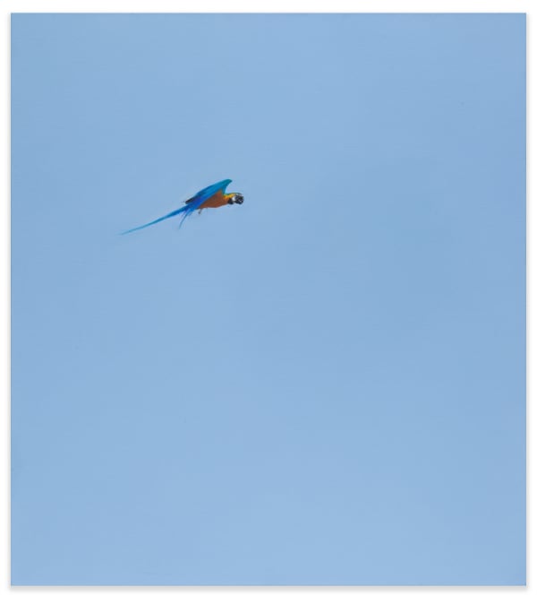 KENTMANN, MATTHEW, Blue & Gold 7, 2019