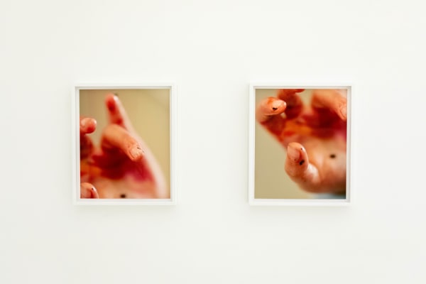 Rachel Rose, 7:00 AM (7:00:23 AM), 2023