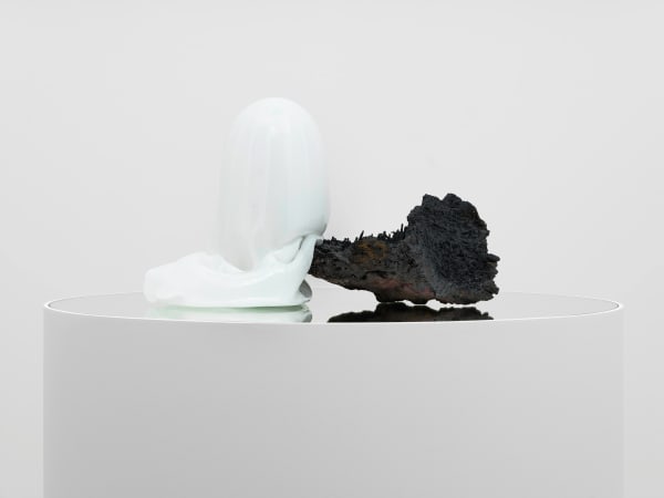 Rachel Rose, Loop (250 million BC), 2022