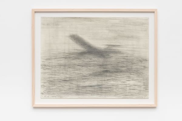 Sabine Moritz, Plane, Dusk, 2016