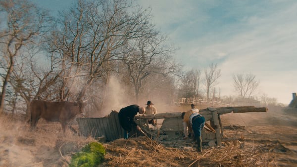 Rachel Rose, Wil-o-Wisp, 2018