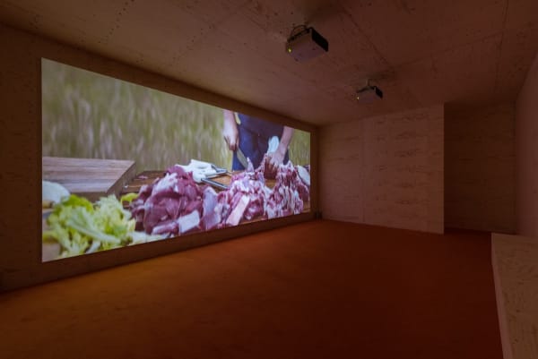 Rirkrit Tiravanija, untitled 2017 (nothing rhymes with lobscouse, labskaus, lapskaus, lobskovs), 2017