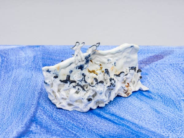 Sophie von Hellermann, The Wall Must Go, 2020