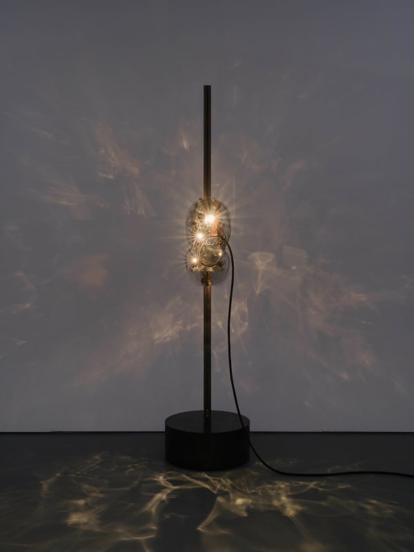 Philippe Parreno, The Crawler , 2024