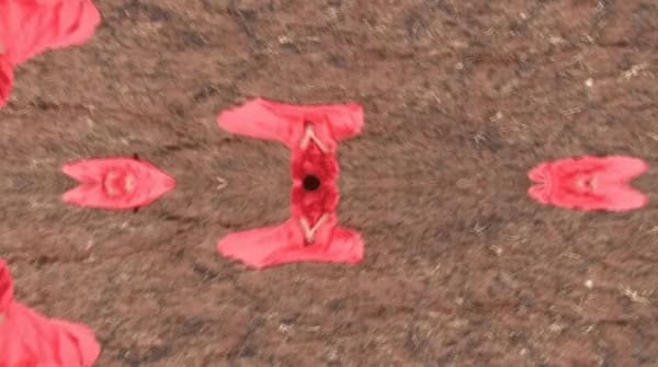 ŞENER ÖZMEN, THE FERTILE CRESCENT, 2011