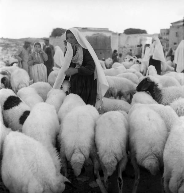 Estate YILDIZ MORAN, Anne, 1956