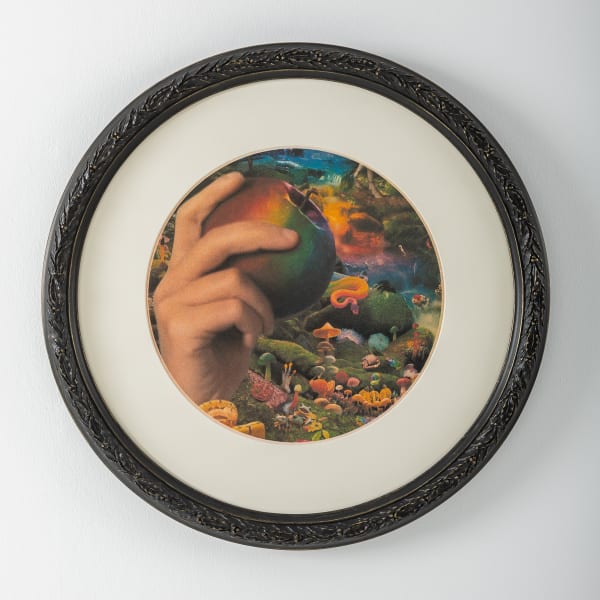 RASİM AKSAN, İsimsiz / Untitled, 2020