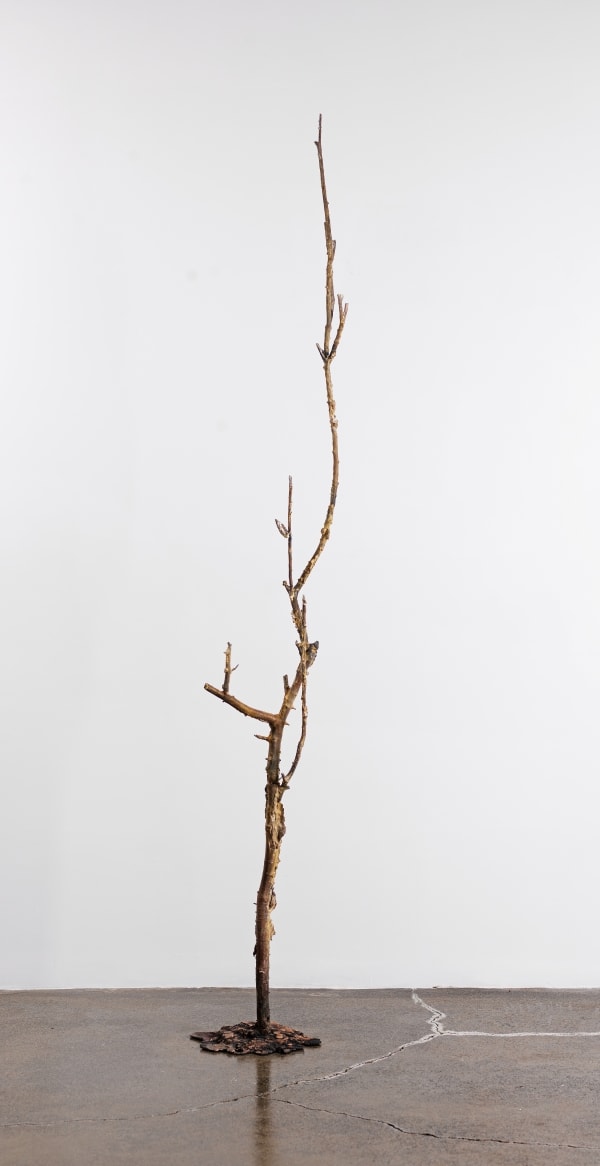 ALİ EMİR TAPAN, Untitled From The Series We Sleep Together, 2023