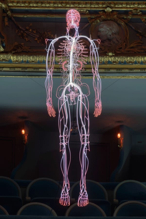 DANIEL FIRMAN, INSIDE, 2018