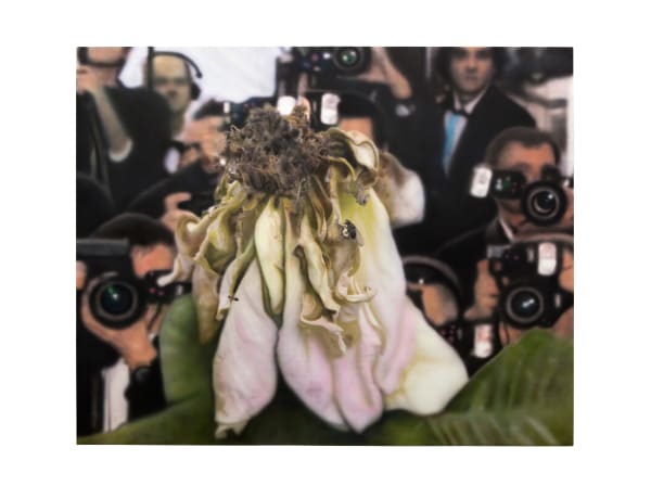 RASİM AKSAN, İsimsiz / Untitled, 2012