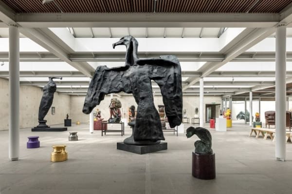 JOHAN CRETEN, NAKED ROOTS / NAAKTE WORTELS