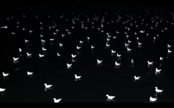 ALİ EMİR TAPAN, Rehearsal, 2013