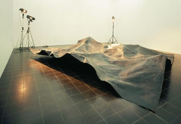 MICHAEL SAILSTORFER, CAST OF THE SURFACE OF THE DARK OF THE MOON, 2005