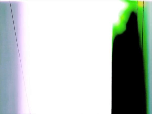 ALİ EMİR TAPAN, Almost Flower, 2010