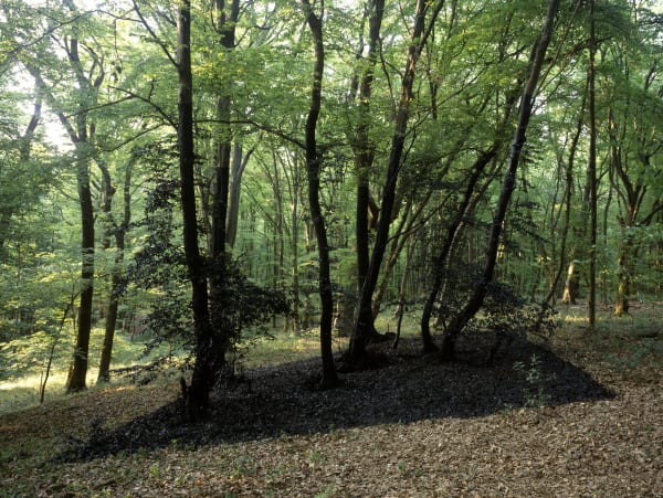 MICHAEL SAILSTORFER, SCHWARZWALD, 2010