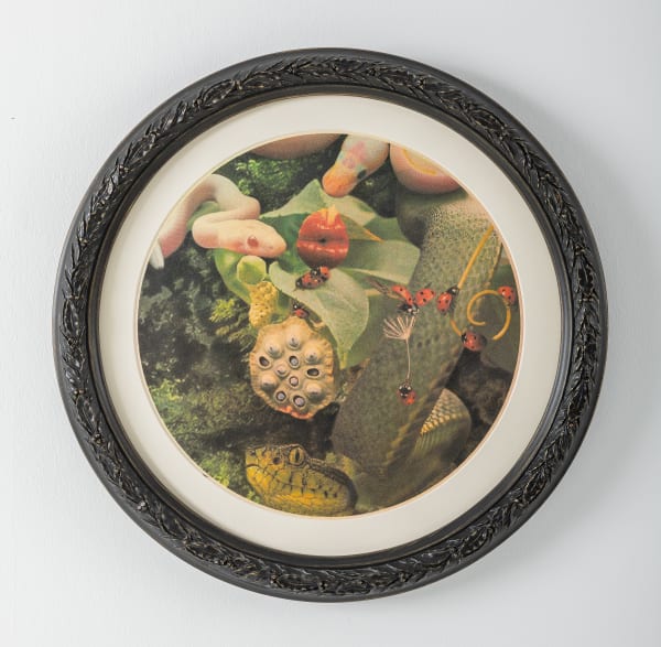 RASİM AKSAN, İsimsiz / Untitled, 2020