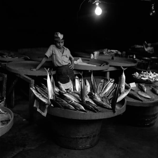 Estate YILDIZ MORAN, Palamutçu, 1956