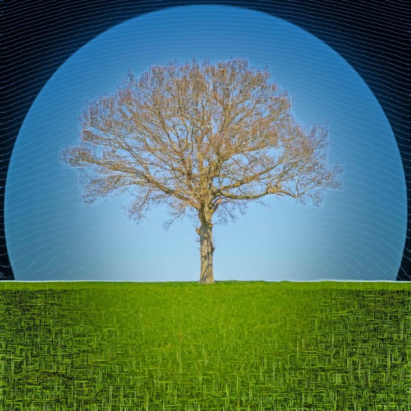 Duncan Wade, Dawn, 2023