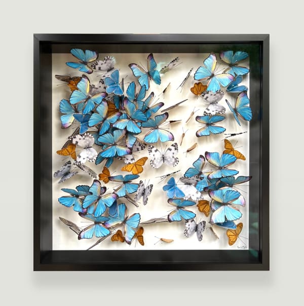 Daniel Byrne, Flutter II, 2025