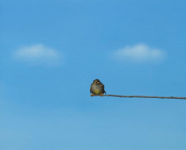 Lilia Mazurkevich, "I Don't Like the Rain", LIMITED EDITION